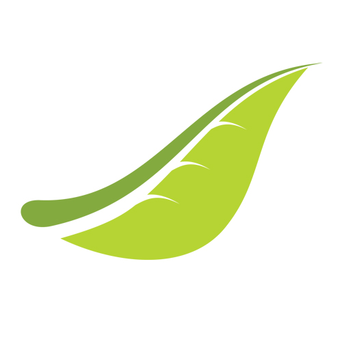 Vein Centers of Jamaica – Logo Leaf rsz
